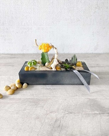Garden Only size, 4 inches height and 12 inches wide.