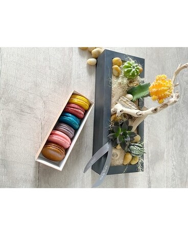 Garden and Half Dozen Macarons size, inches height and inches wide.