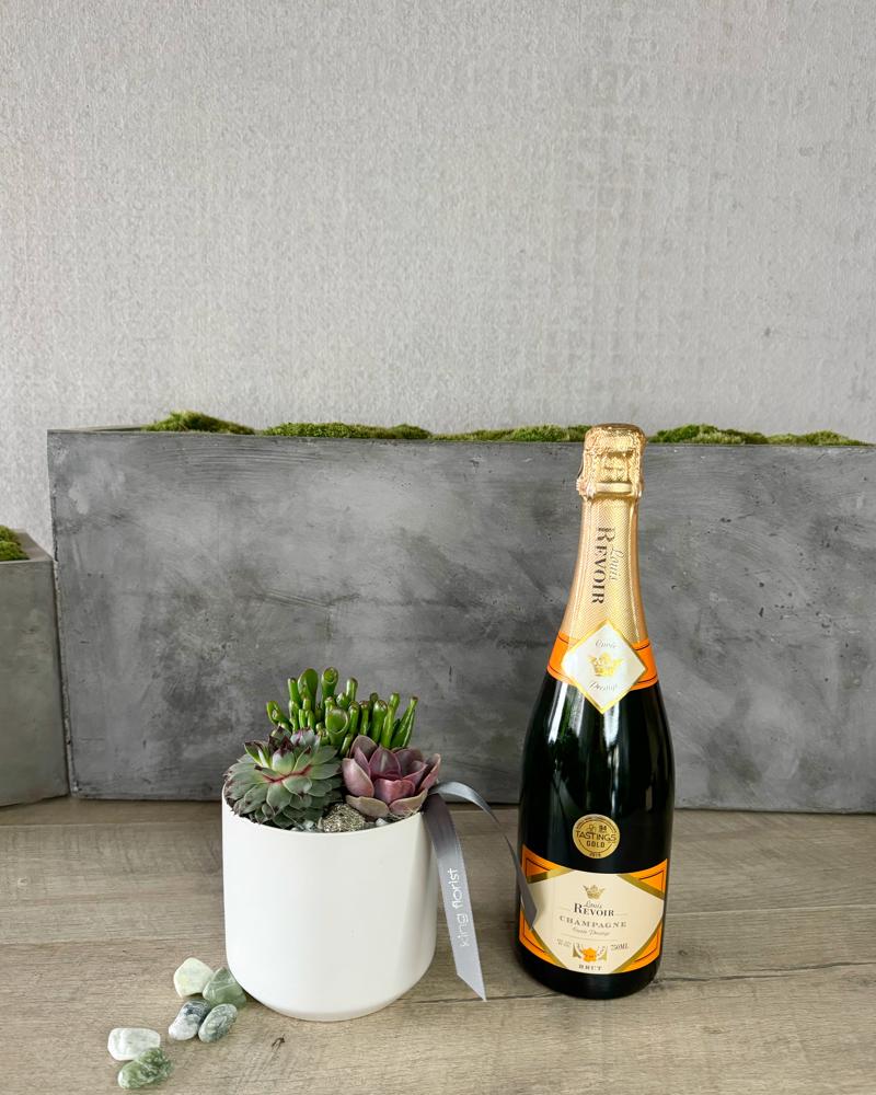 Garden and Champagne size, inches height and inches wide.