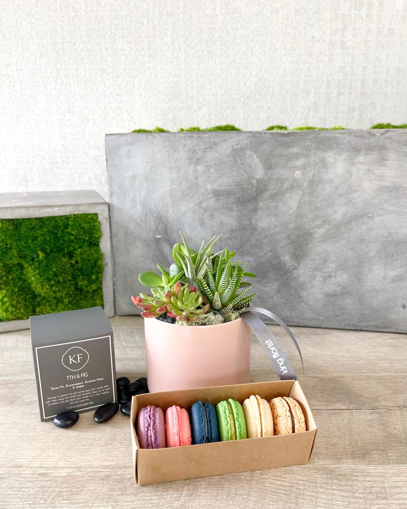 Garden, Half Dozen Macarons, and Candle size, inches height and inches wide.