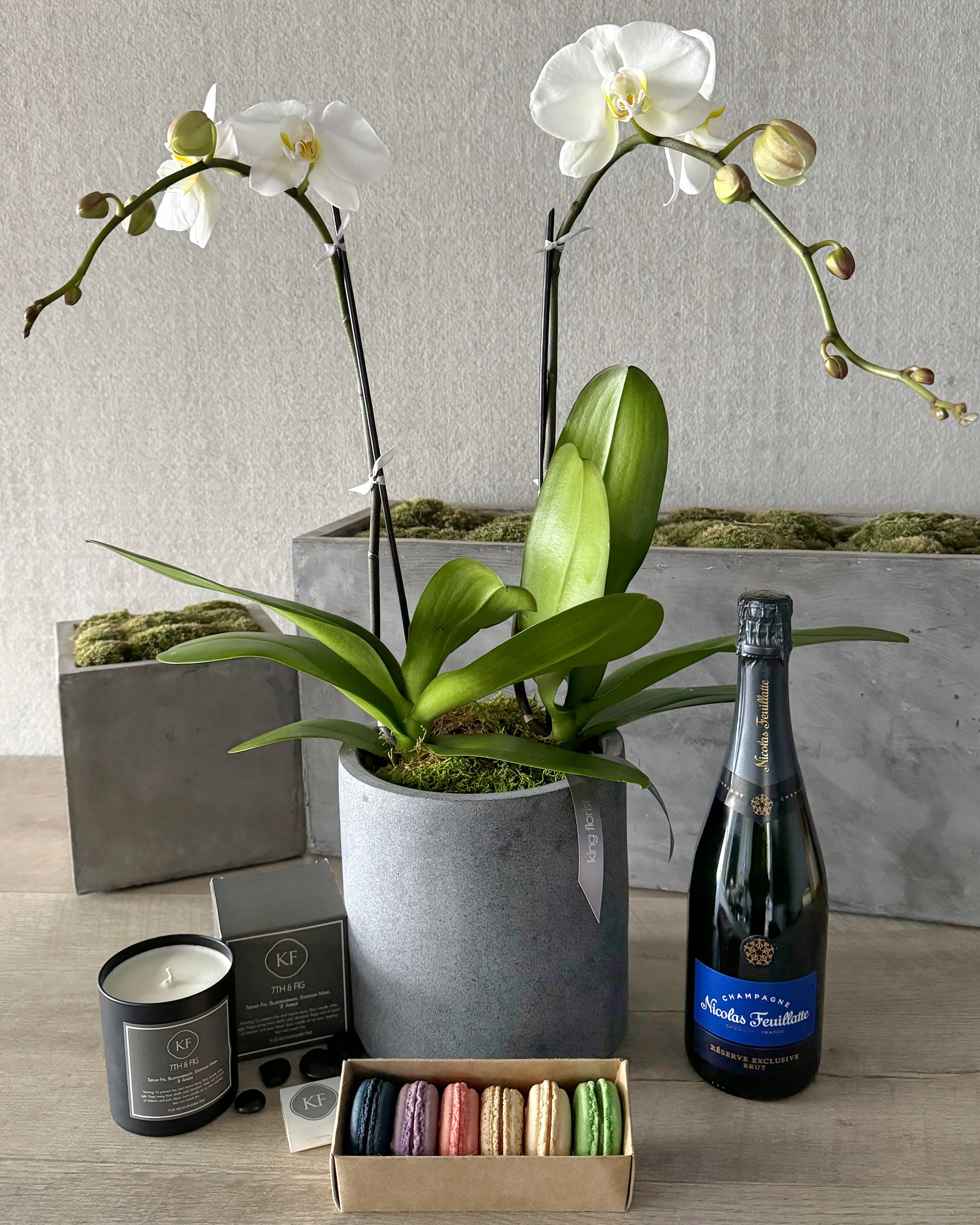 Plant and All Add-ons size, inches height and inches wide.