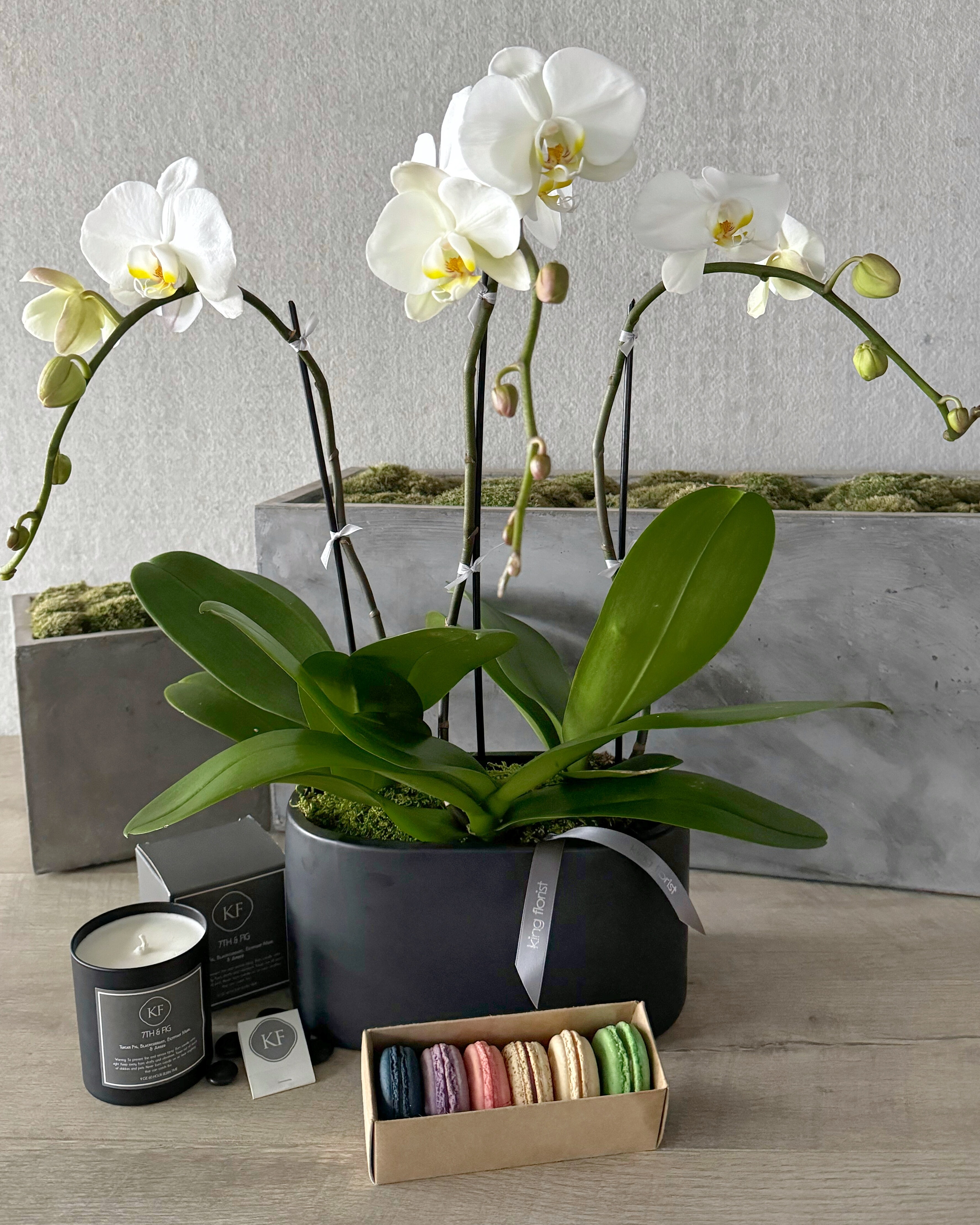 Orchid Garden, Half Dozen Macarons, and Candle size, inches height and inches wide.