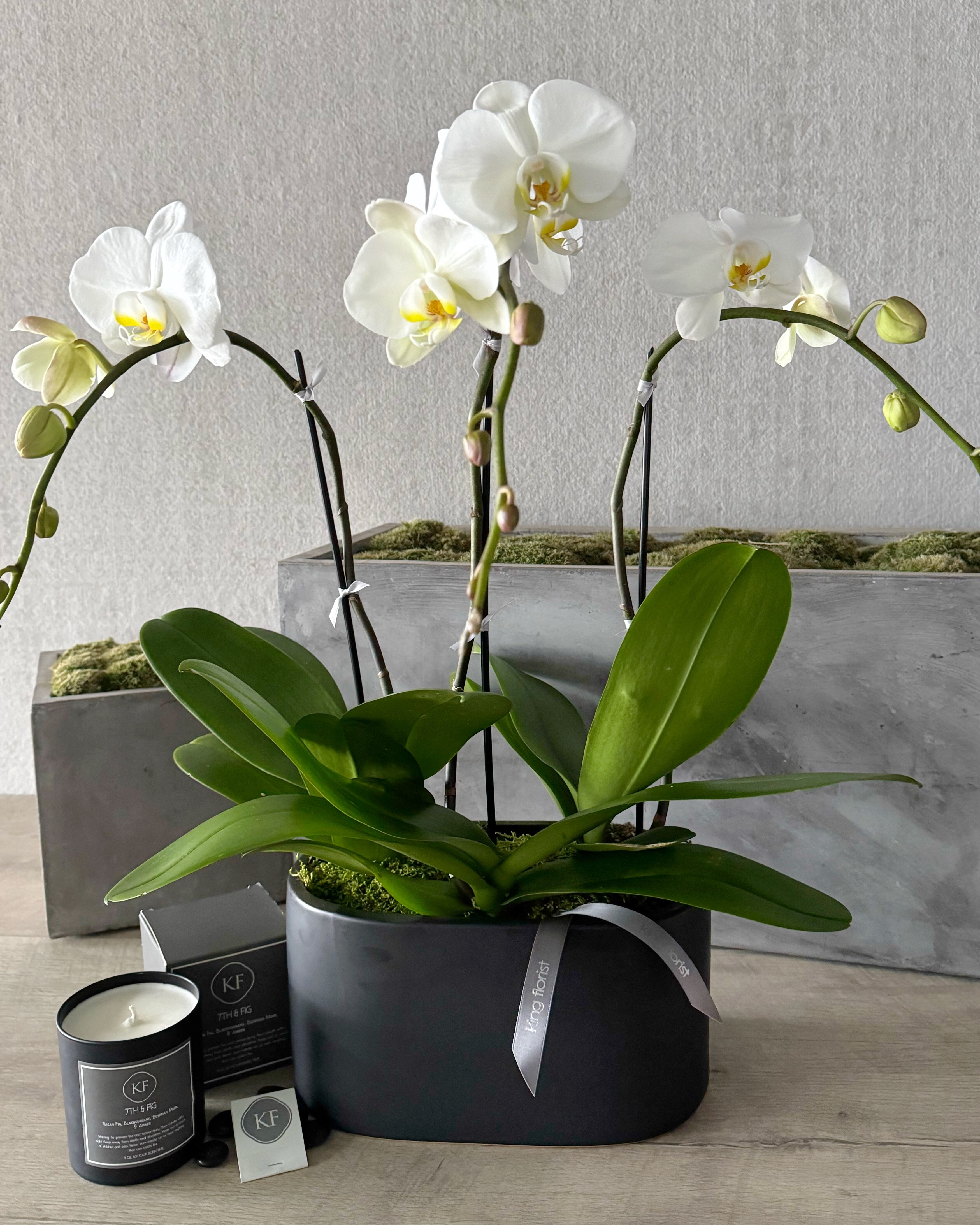 Orchid Garden and Candle size, inches height and inches wide.