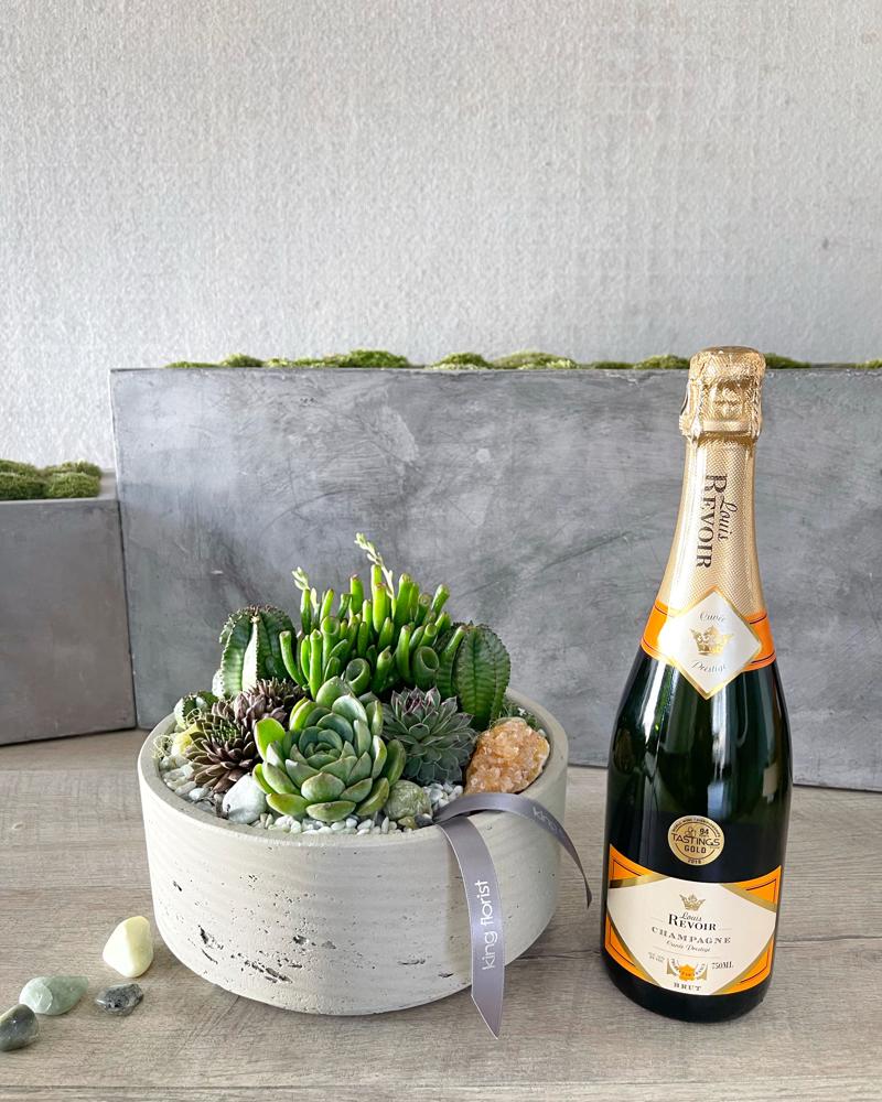 Garden and Champagne size, inches height and inches wide.
