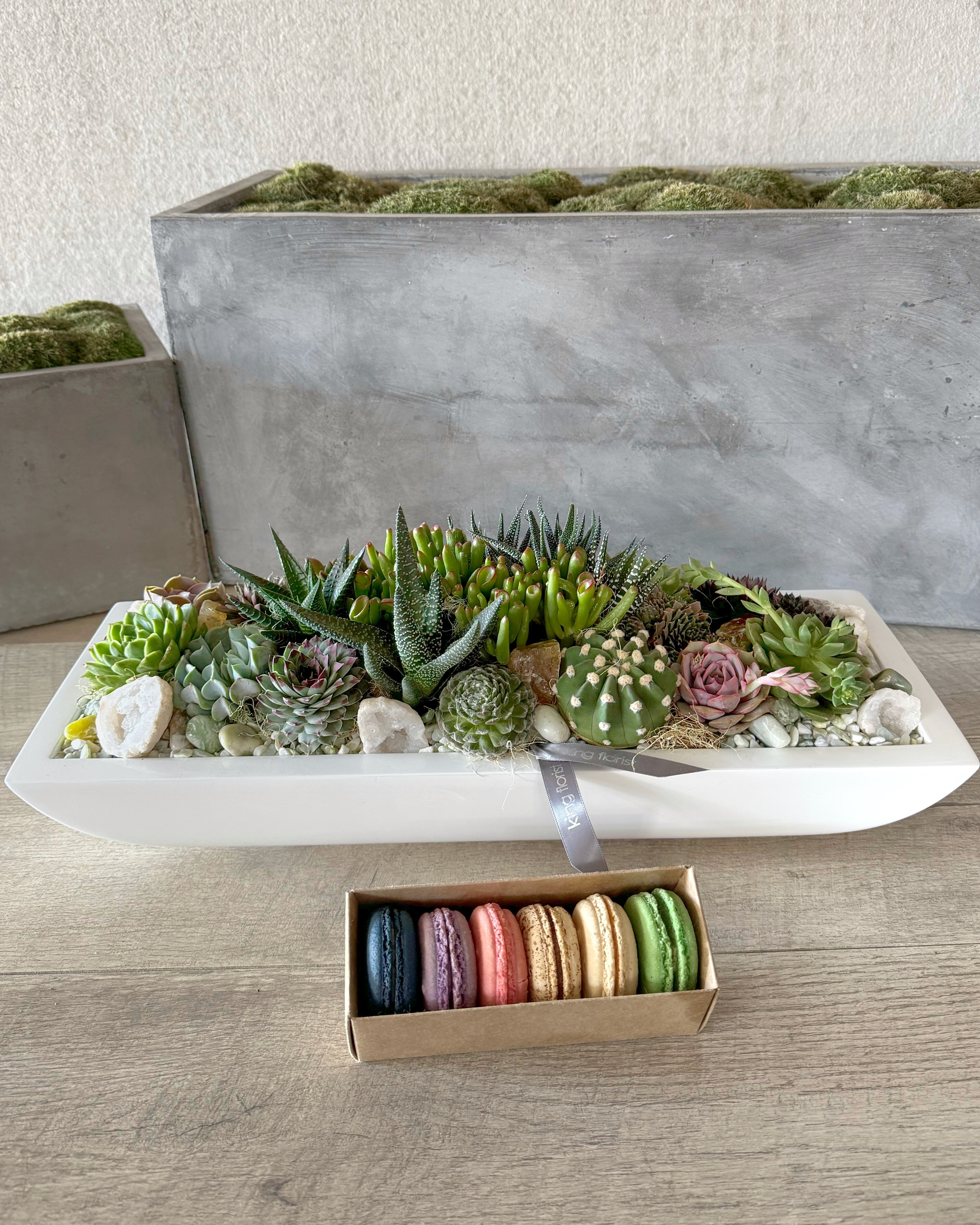 Garden and Half Dozen Macarons size, inches height and inches wide.