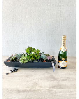 Garden and Champagne size, inches height and inches wide.