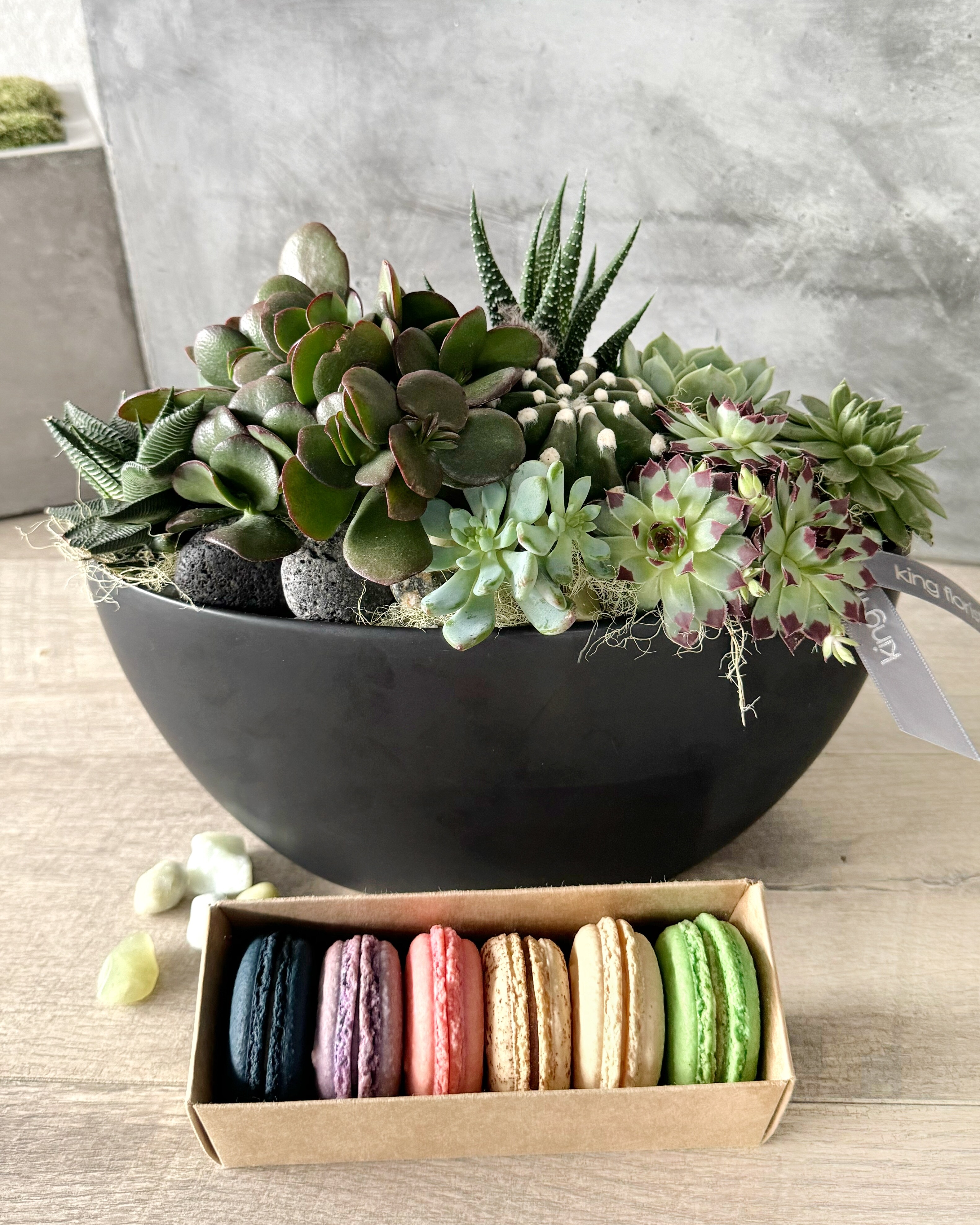 Garden and Half Dozen Macarons size, inches height and inches wide.