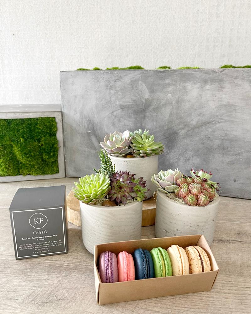 Trio, Half-Dozen Macarons, and Candle size, inches height and inches wide.