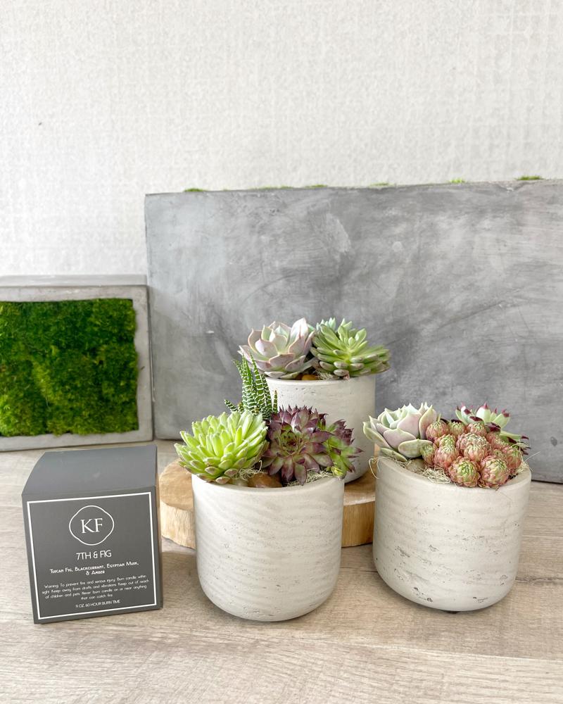 Trio and Candle size, inches height and inches wide.