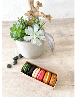 Garden and Half Dozen Macarons size, inches height and inches wide.