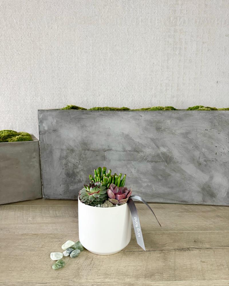 Garden Only size, 6 inches height and 5 inches wide.