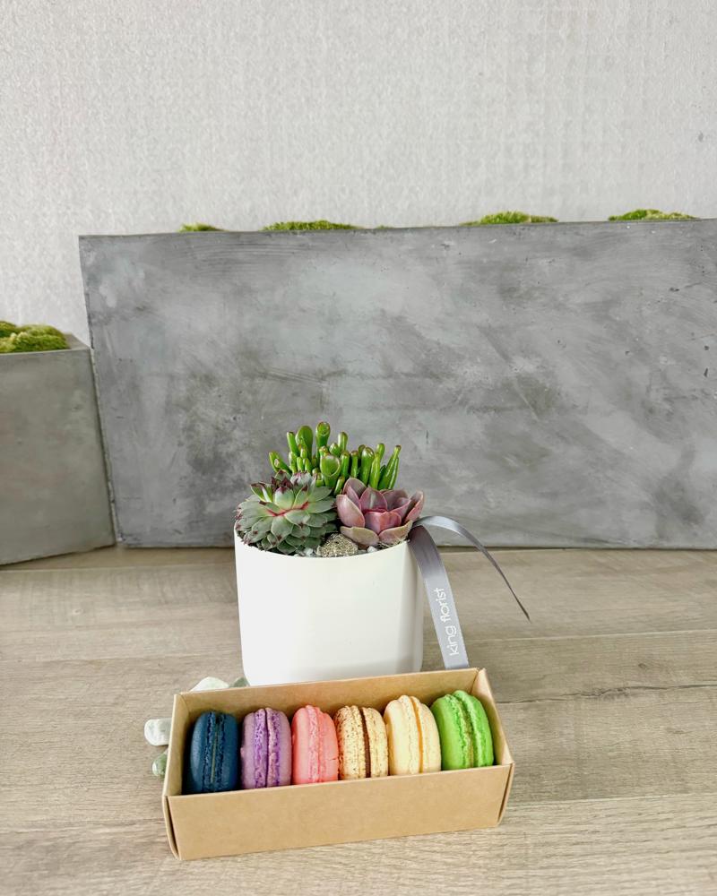 Garden and Half Dozen Macarons size, inches height and inches wide.