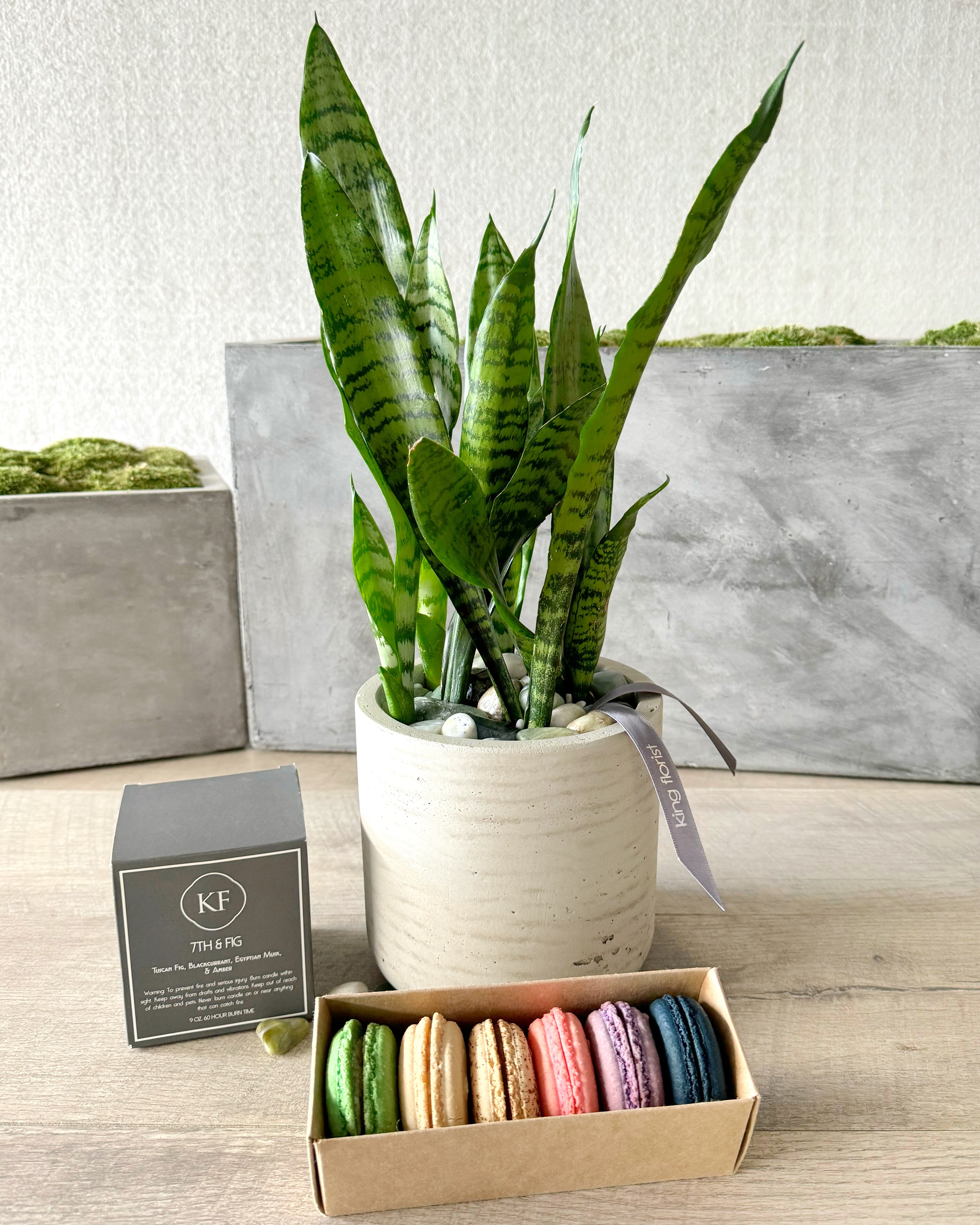 Plant, Half Dozen Macarons, and Candle size, inches height and inches wide.