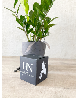 Plant and Candle size, inches height and inches wide.
