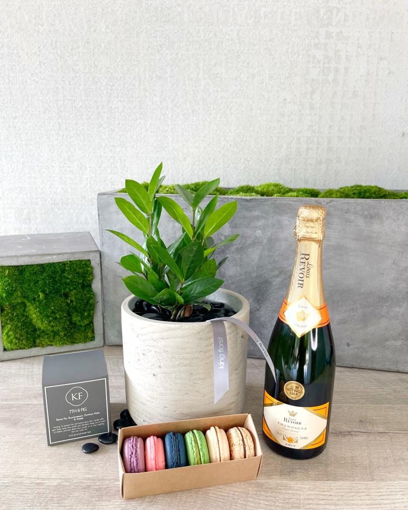Plant and All Add-ons size, inches height and inches wide.