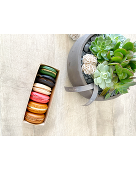 Garden, Half Dozen Macarons, and Candle size, inches height and inches wide.