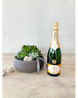 Garden and Champagne size, inches height and inches wide.