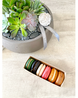 Garden, Half Dozen Macarons, and Candle size, inches height and inches wide.