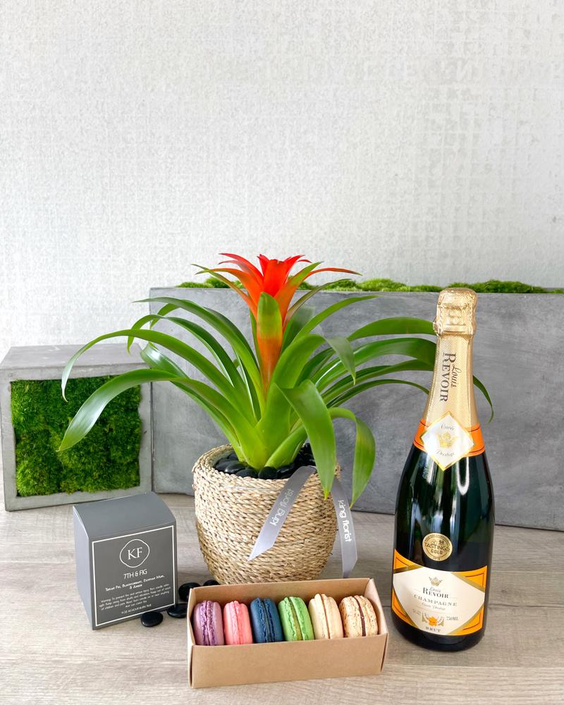 Plant and All Add-ons size, inches height and inches wide.