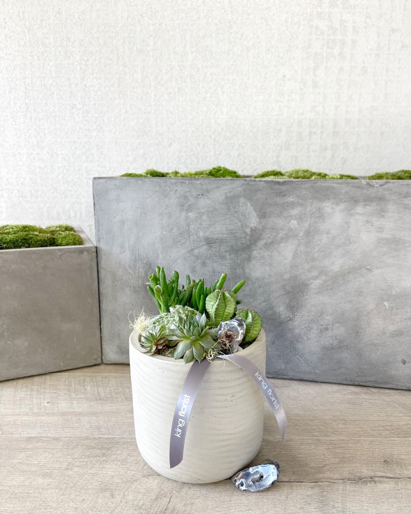 Garden Only size, 8 inches height and 5.5 inches wide.