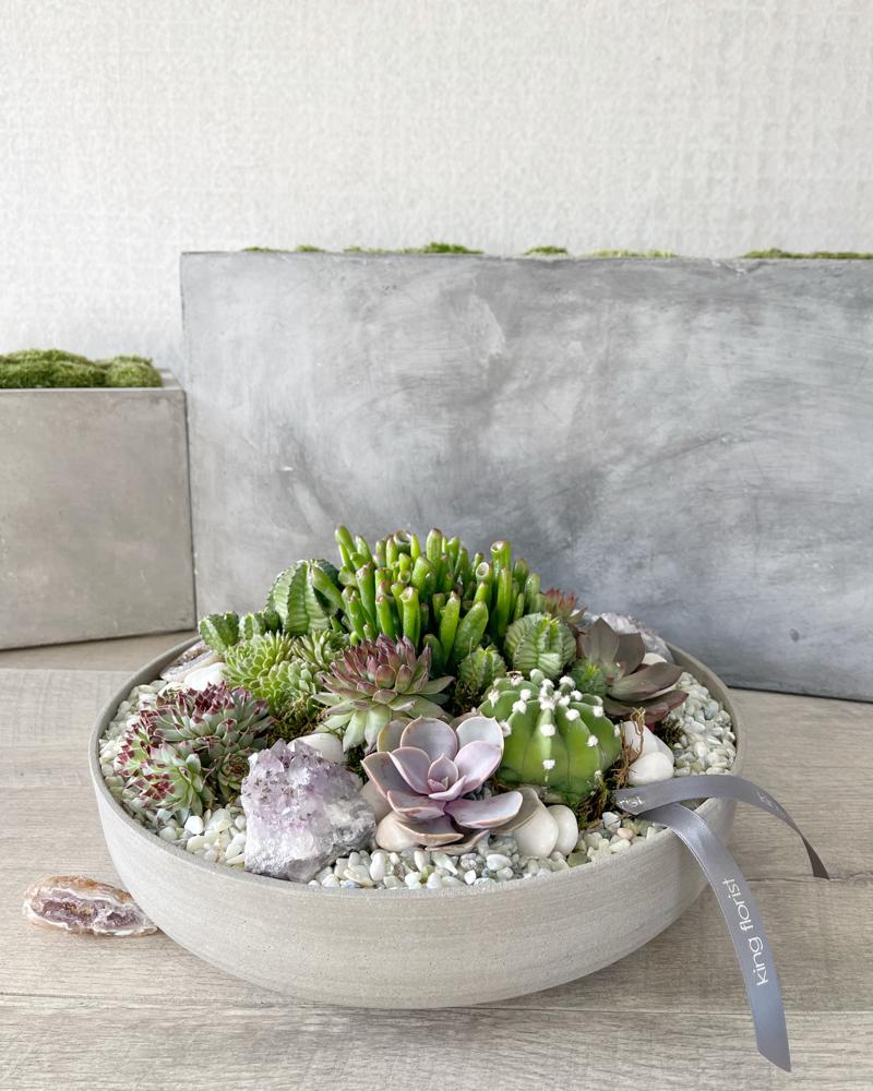 Garden Only size, 5 inches height and 12 inches wide.