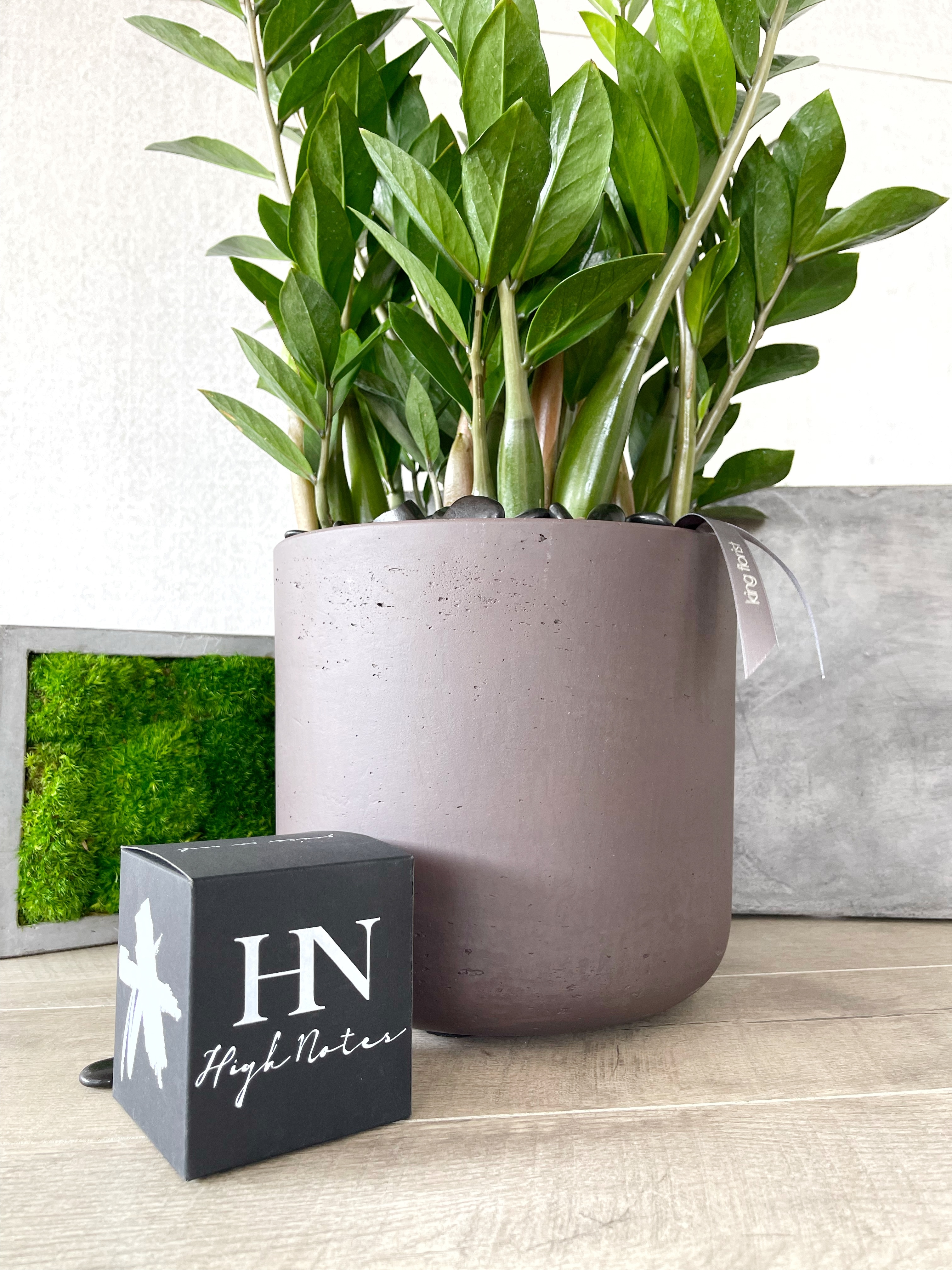 Plant and Candle size, inches height and inches wide.