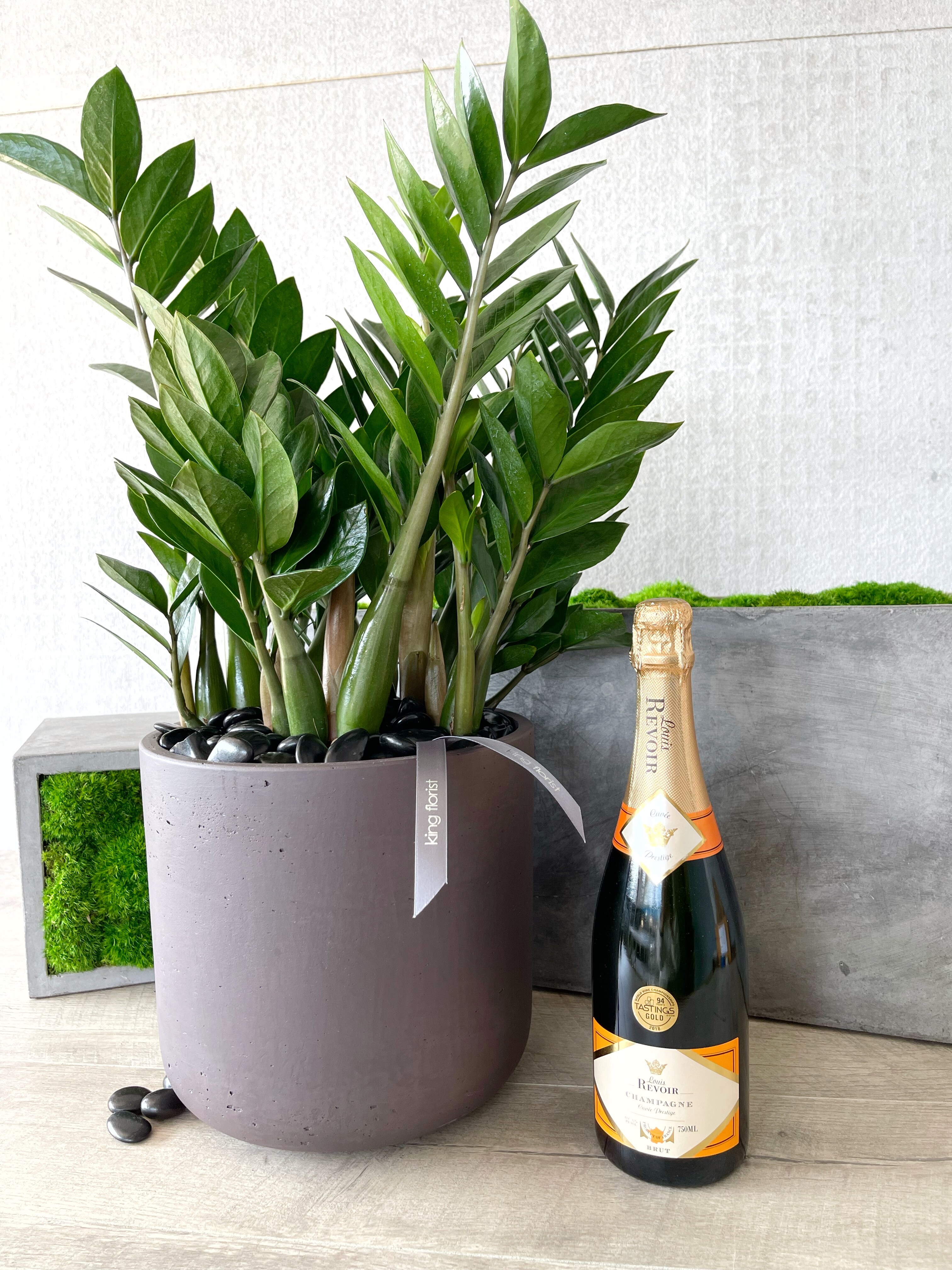 Plant and Champagne size, inches height and inches wide.