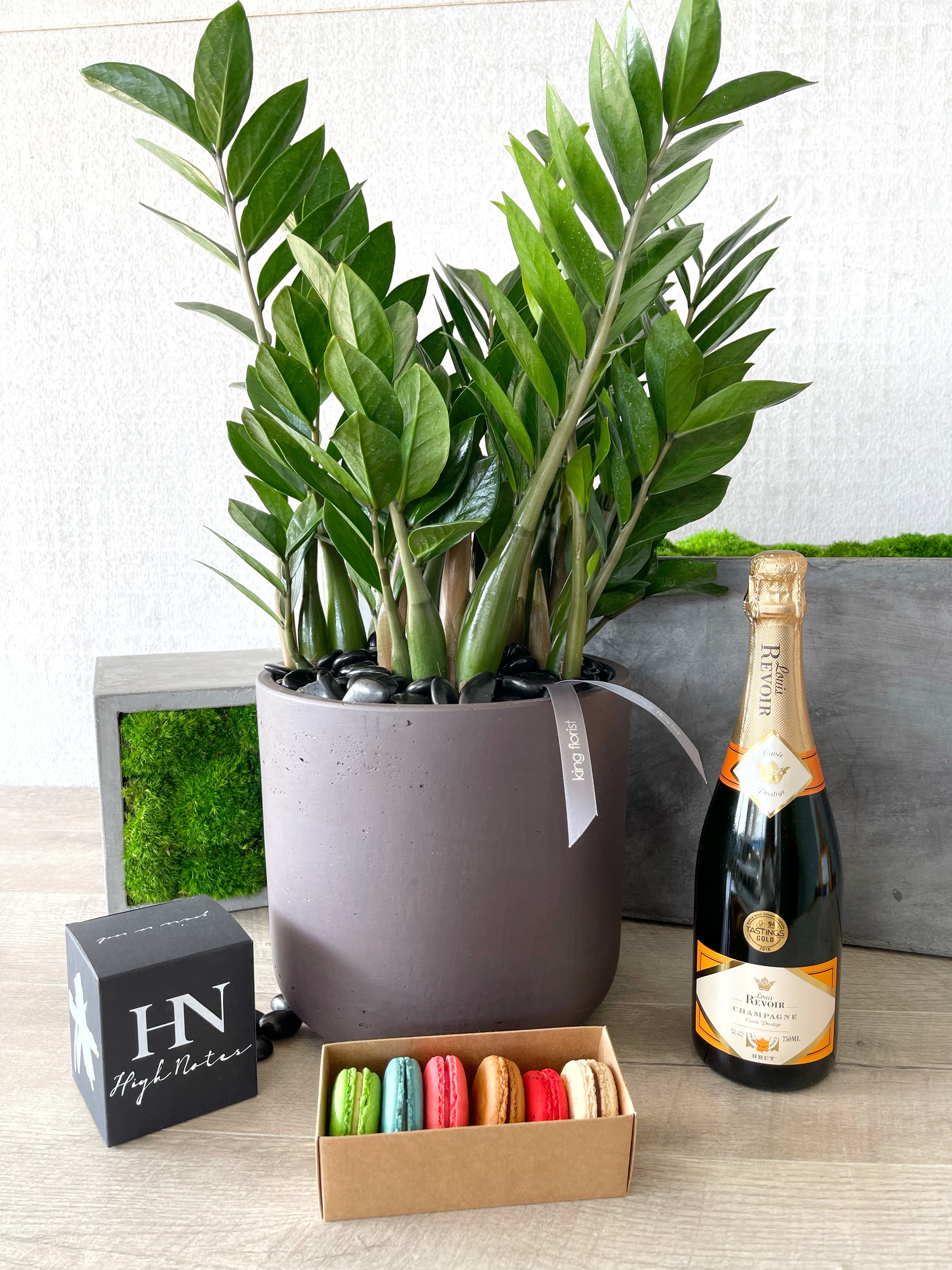 Plant and All Add-ons size, inches height and inches wide.