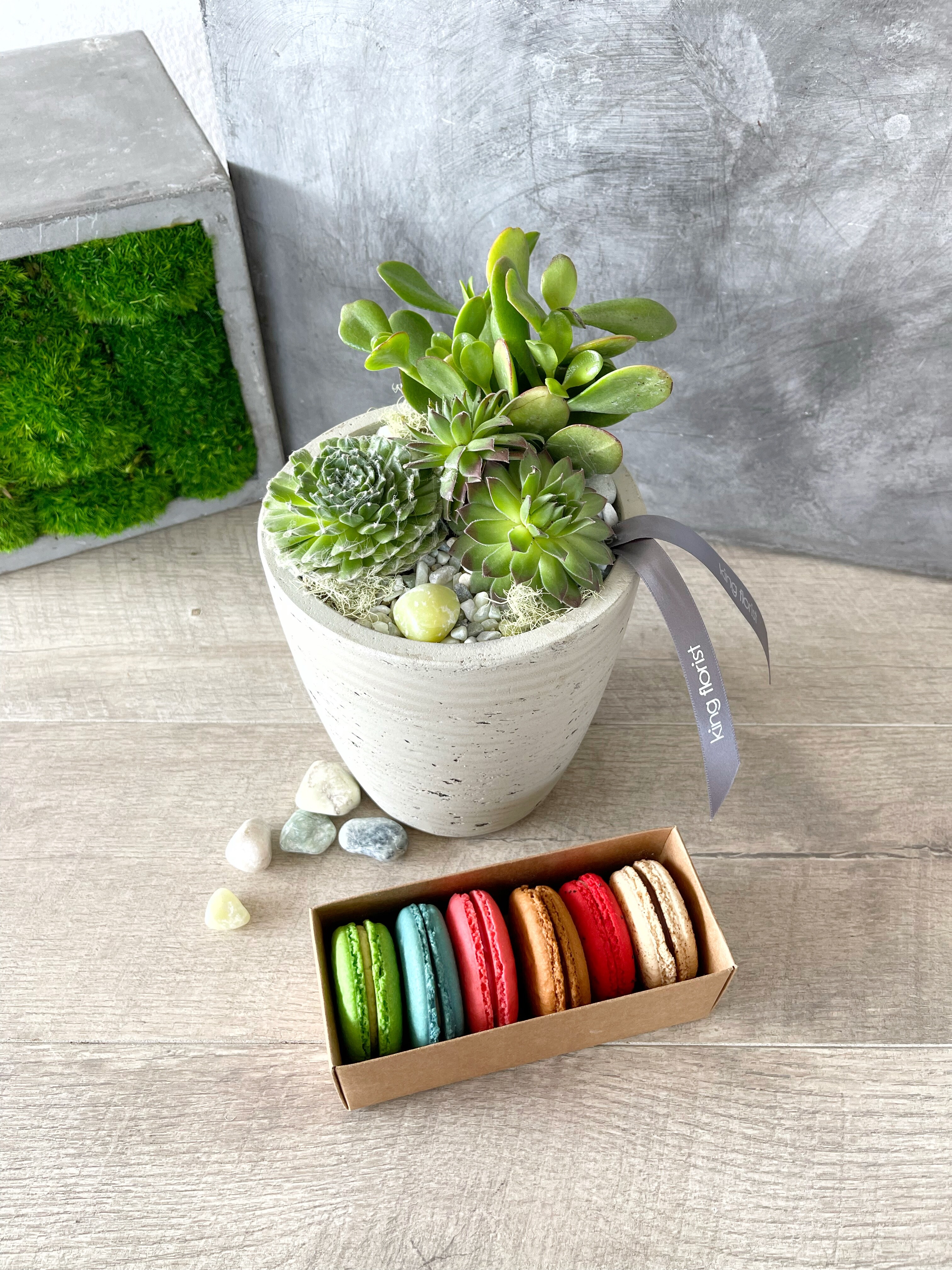 Garden and Half Dozen Macarons size, inches height and inches wide.