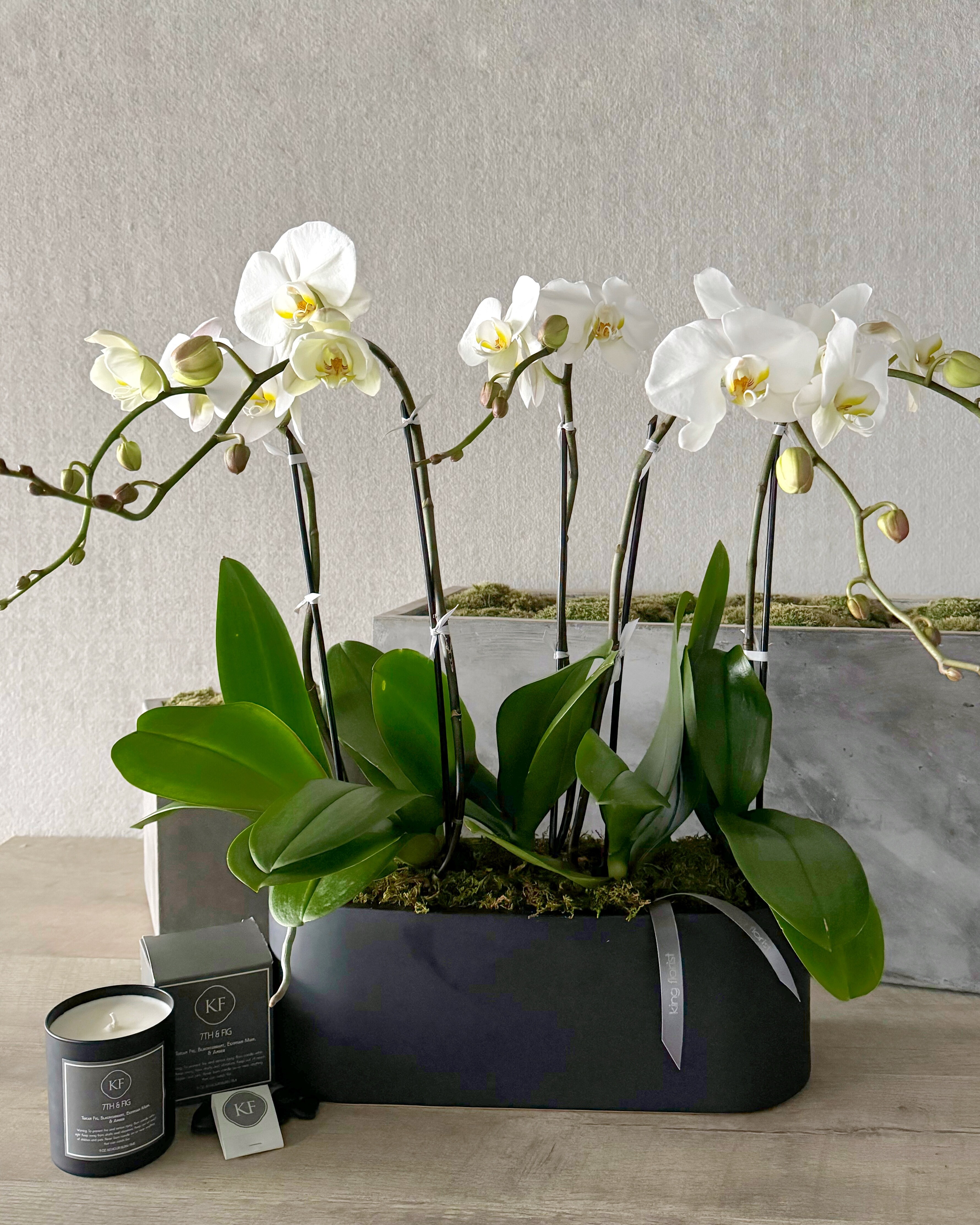 Garden and Candle size, inches height and inches wide.
