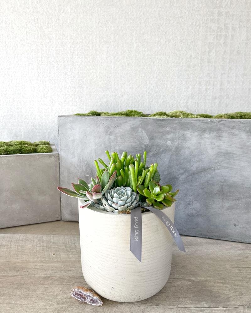 Garden Only size, 8 inches height and 8 inches wide.