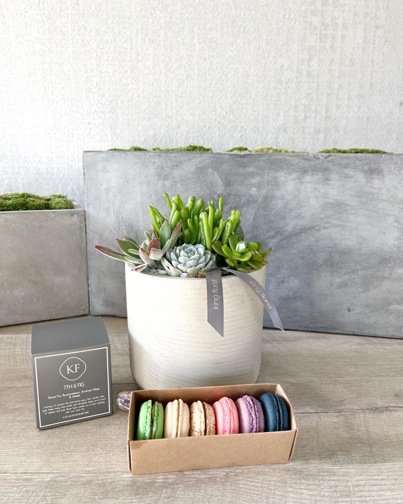 Garden, Half dozen Macarons, and Candle size, inches height and inches wide.