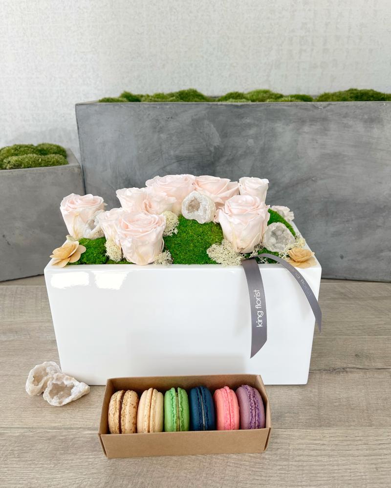 Garden and Half Dozen Macarons size, inches height and inches wide.