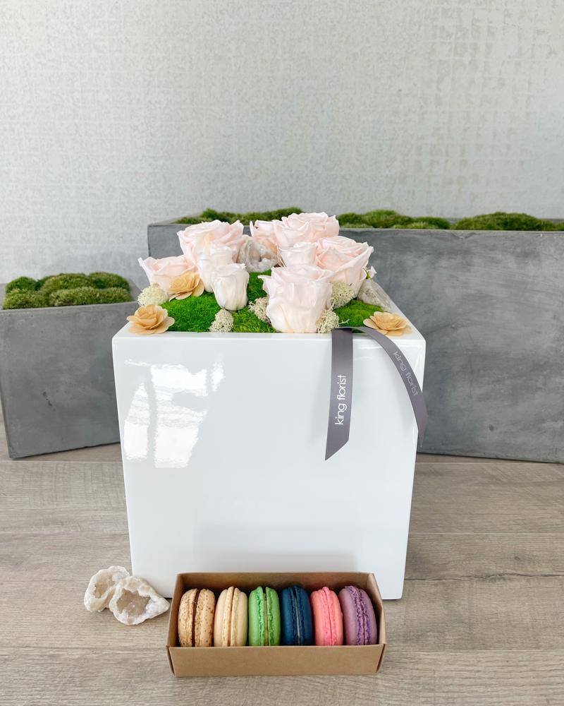 Garden and Half Dozen Macarons size, inches height and inches wide.