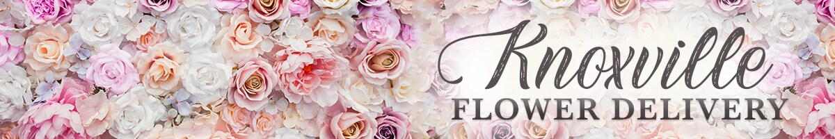 Knoxville Flower Delivery