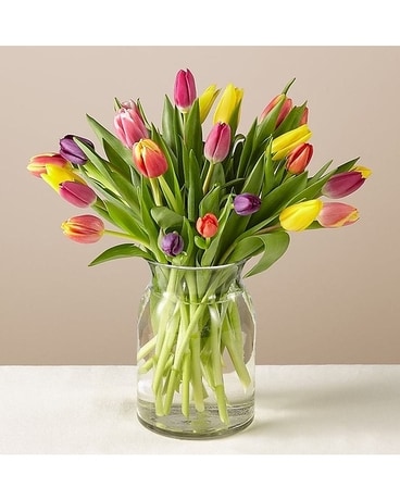 30 Stems size, inches height and inches wide.