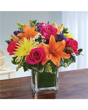 multicolor bright size, inches height and inches wide.