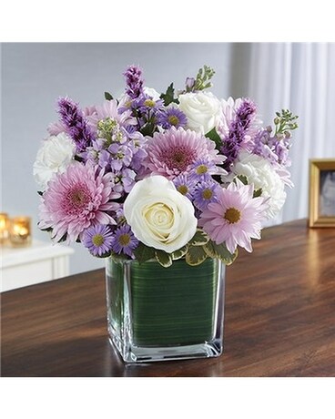 lavender & white size, inches height and inches wide.