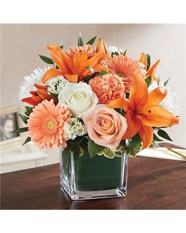 peach, orange & white size, inches height and inches wide.