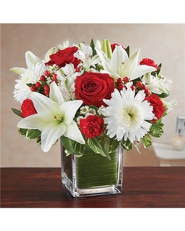 red & white size, inches height and inches wide.