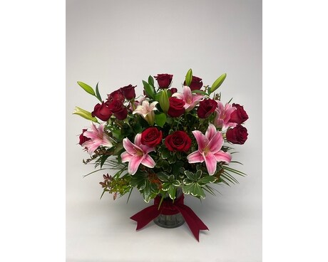 Perfect 2 Dozen size, inches height and inches wide.