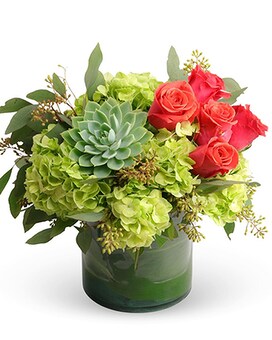 Premium size, 10 inches height and 8 inches wide.