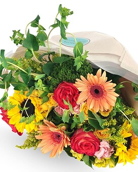 Standard size, 18 inches height and 14 inches wide.