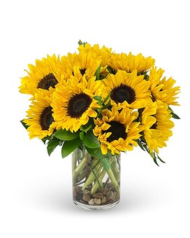 Standard size, 8 inches height and 10 inches wide.