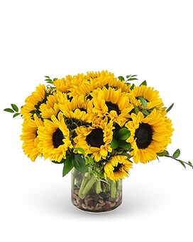 Deluxe size, 10 inches height and 12 inches wide.