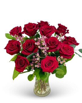 Standard size, 16 inches height and 14 inches wide.