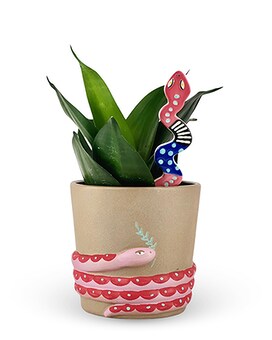 Standard size, 7 inches height and 5 inches wide.