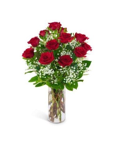 Classic Dozen Red Roses size, inches height and inches wide.