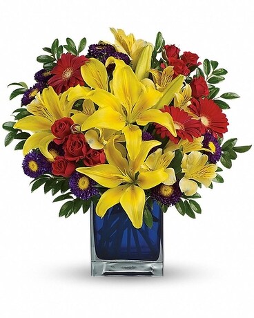 Premium size, 14 inches height and 13 inches wide.