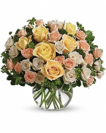 Deluxe size, 12 inches height and 14 inches wide.